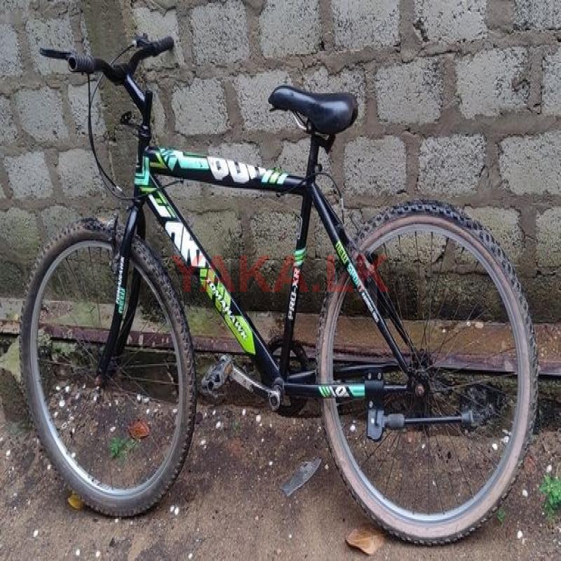 Mountain Bicycle