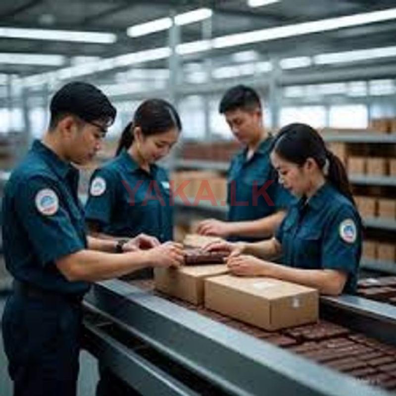Packing Officer