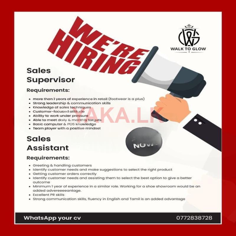 Sales Executive