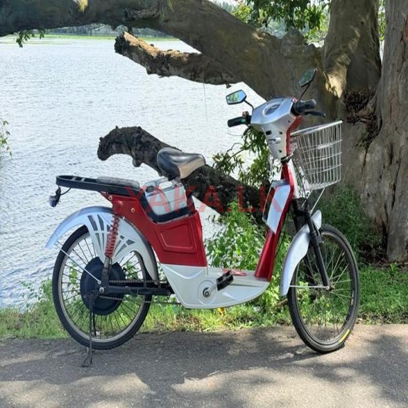 Electric Bicycle