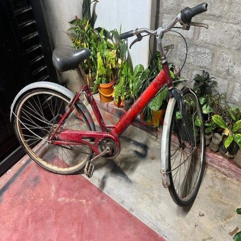 Bicycle
