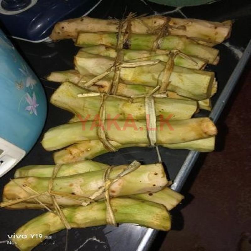 කොහිල