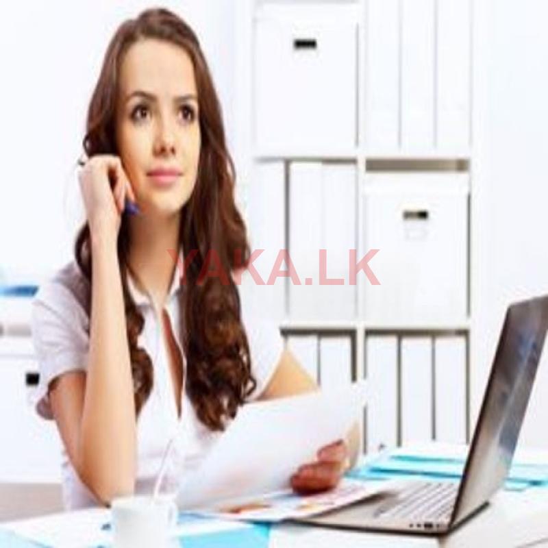 Sales Executive