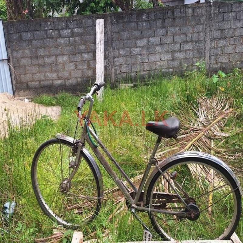Bicycle