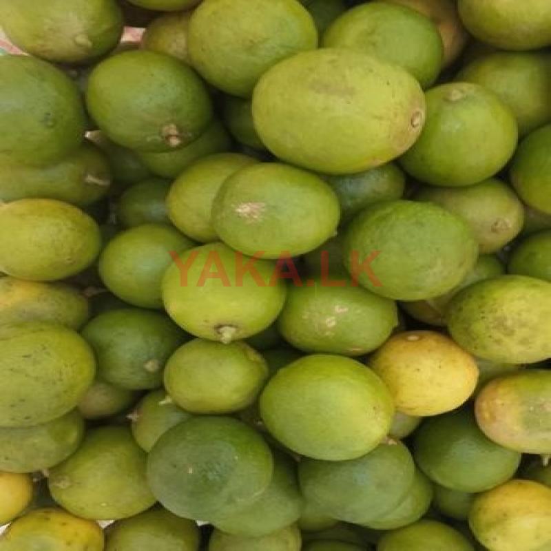 Lime