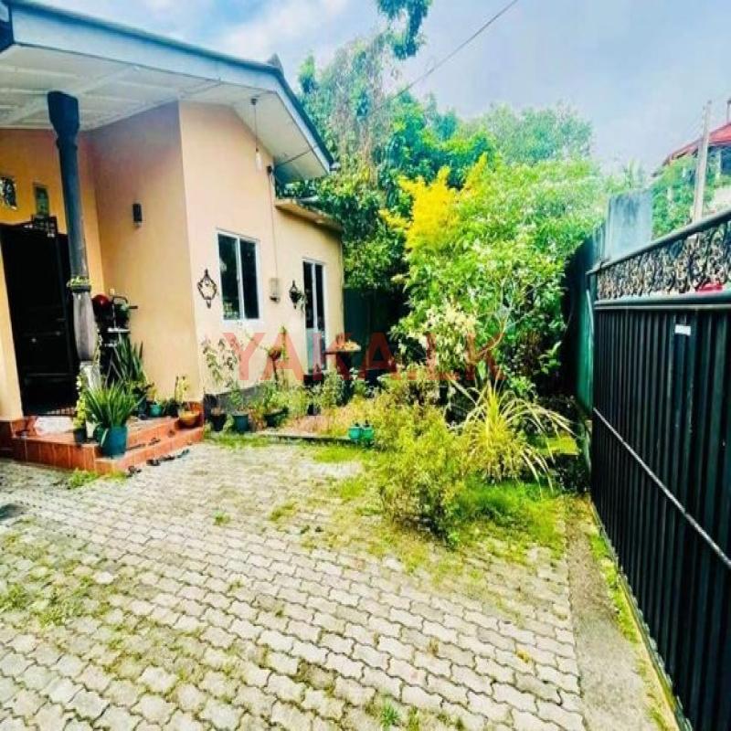 (SDS-316) Valuable Single Storey House Sale in Maharagama