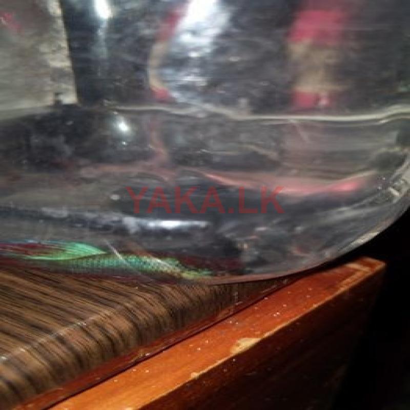 Betta (male)