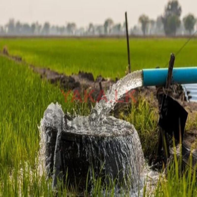 Tube well (Kosgoda)