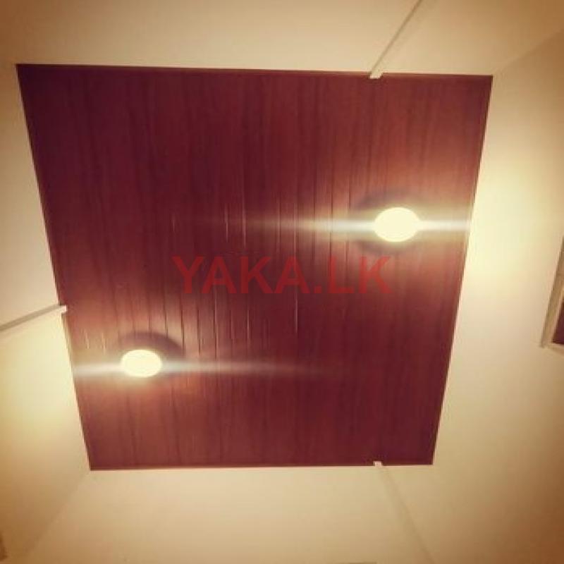 Ceiling Work