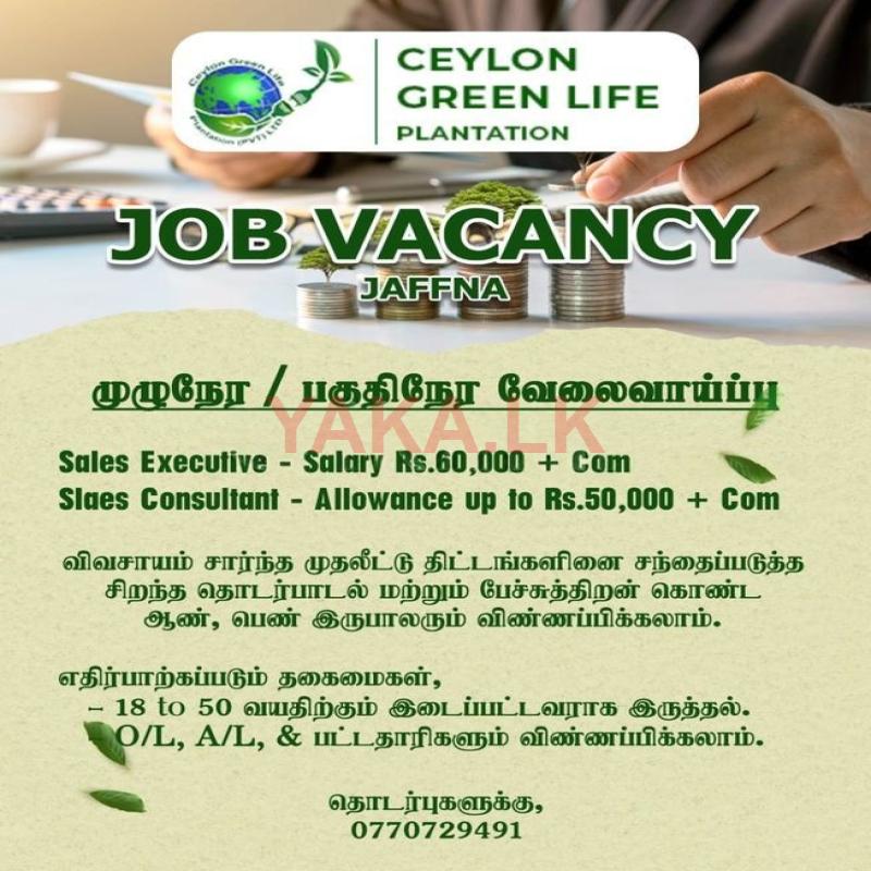Sales Executive