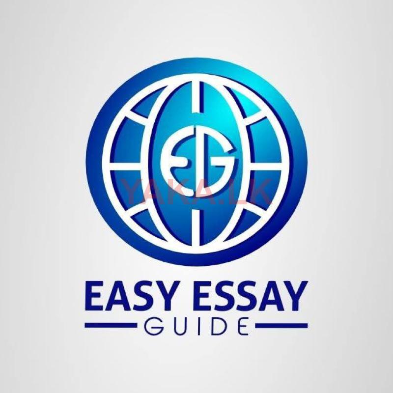 Assignment and Dissertation Help for MBA