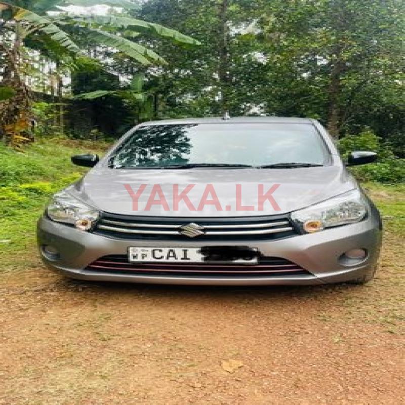 Car for Rent