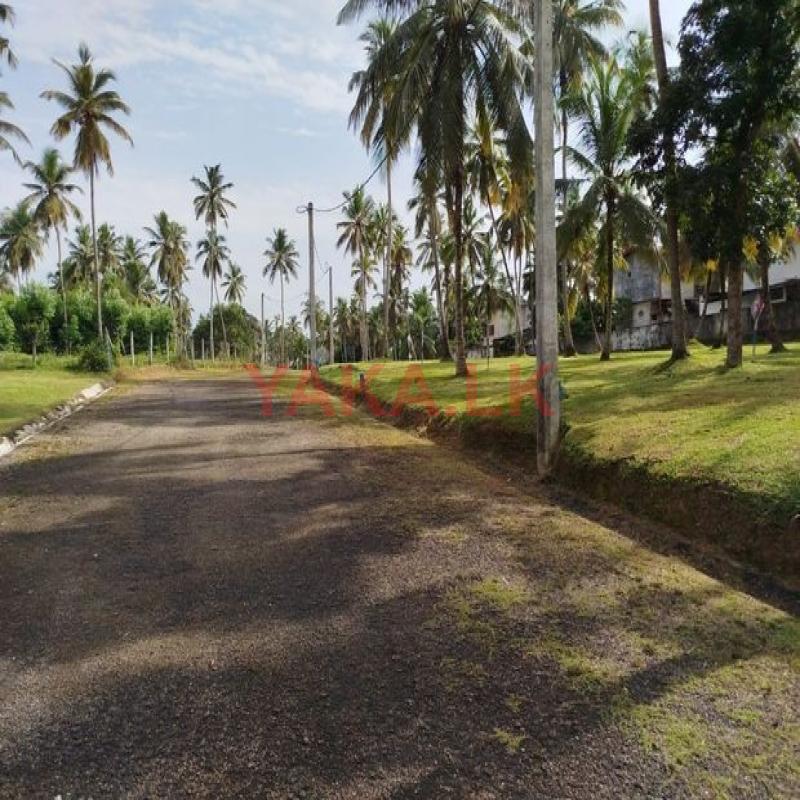 Land In Diulapitiya