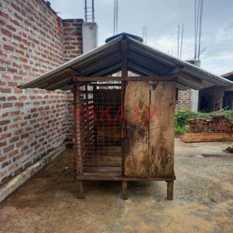 Dog Cage