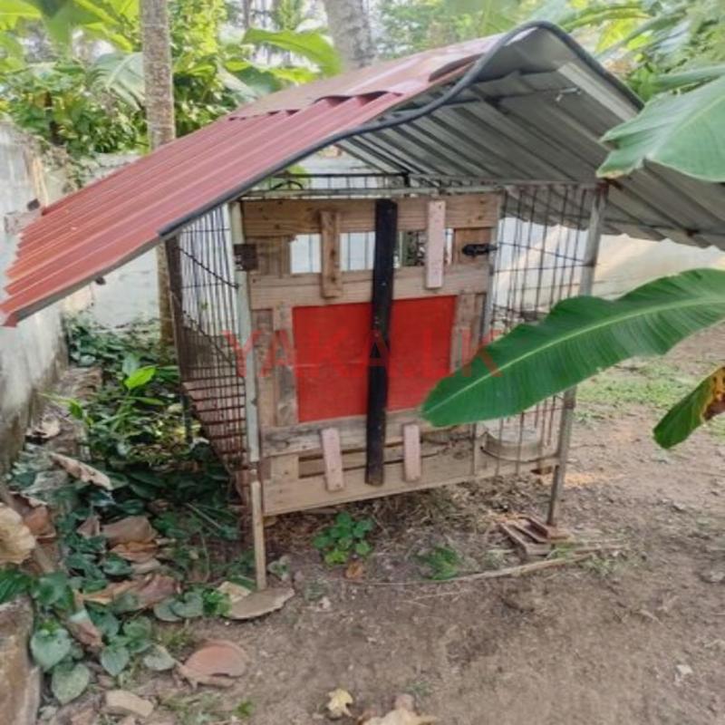 Dog cage