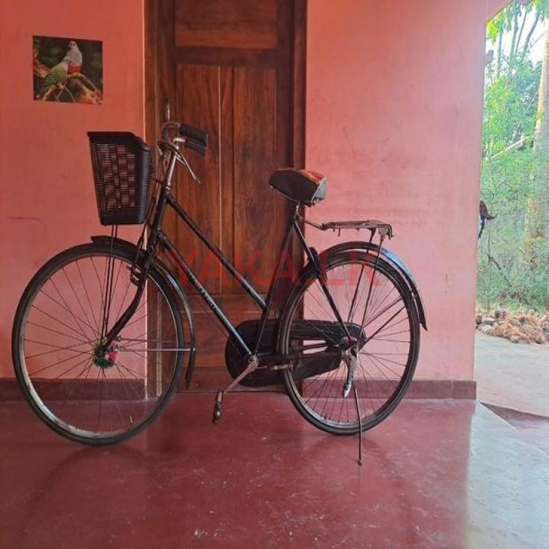 Lumala Ladies Cycle