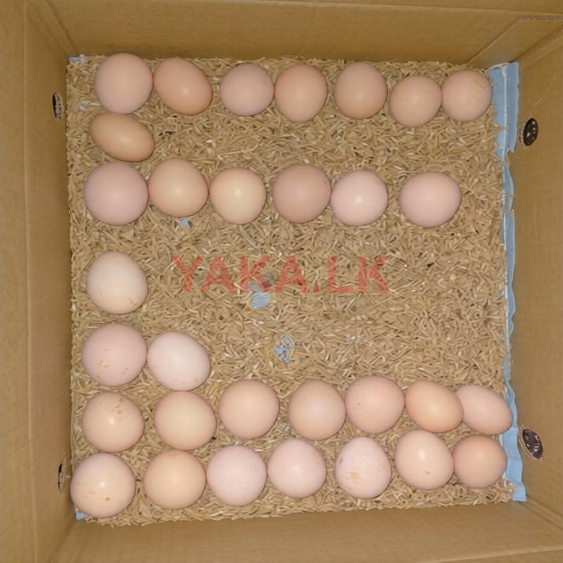 Country Eggs