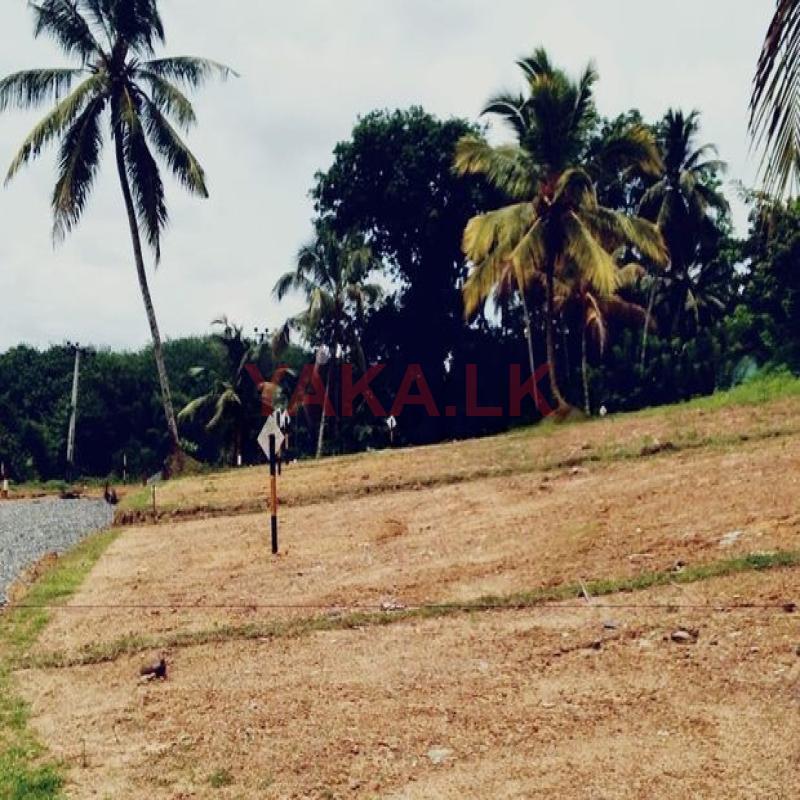හොරණ ඉඩමක් විකිණීමට ඇත.