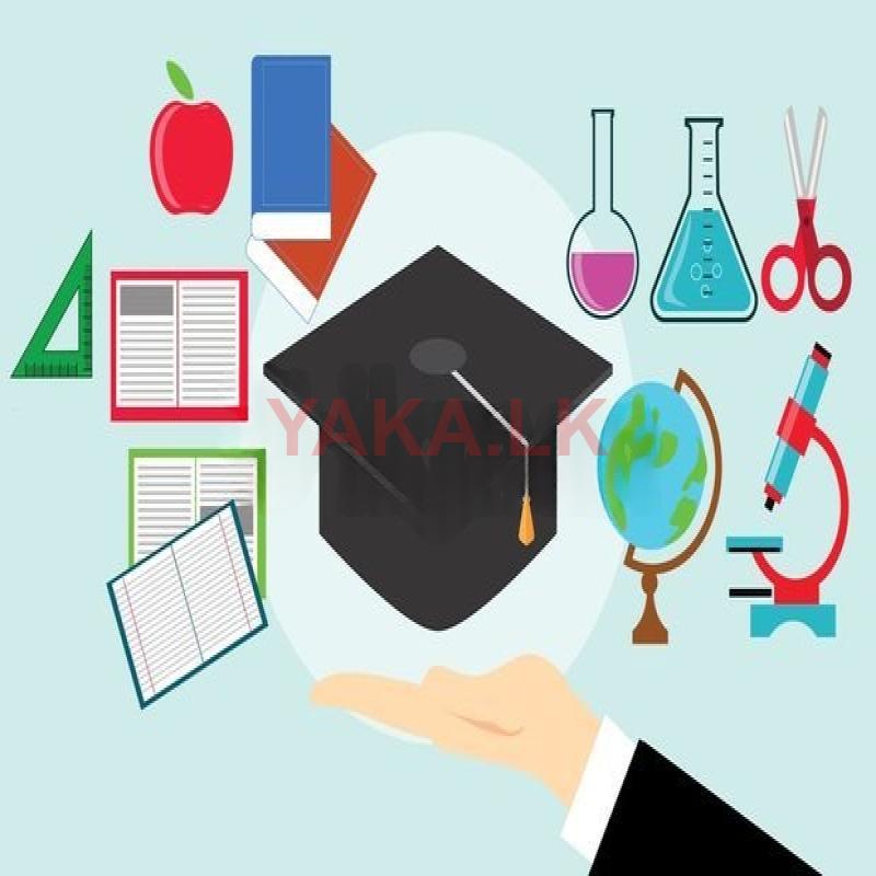 Assignment Help