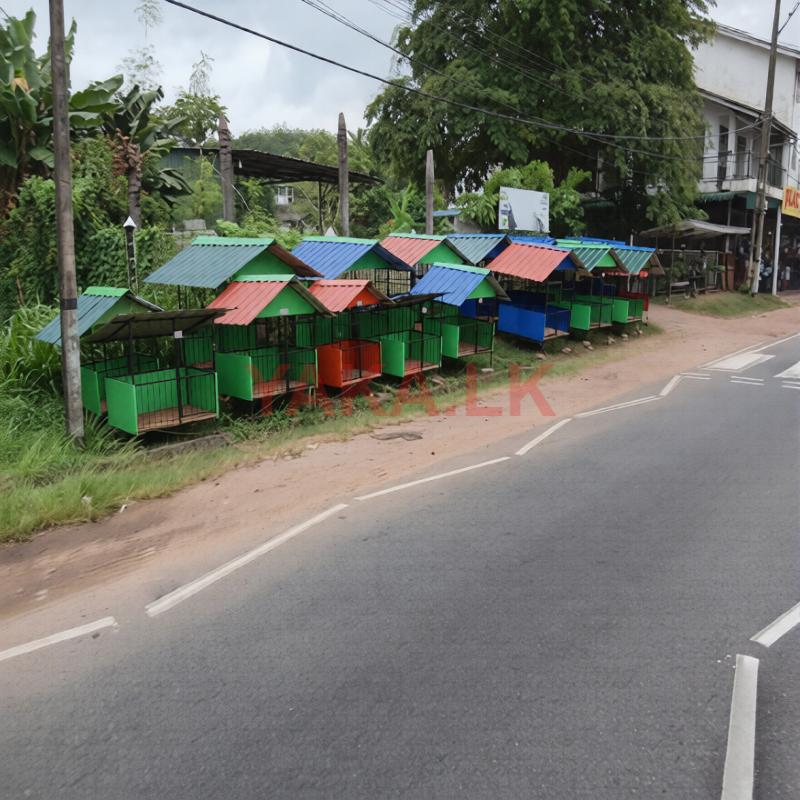 Dog Cages