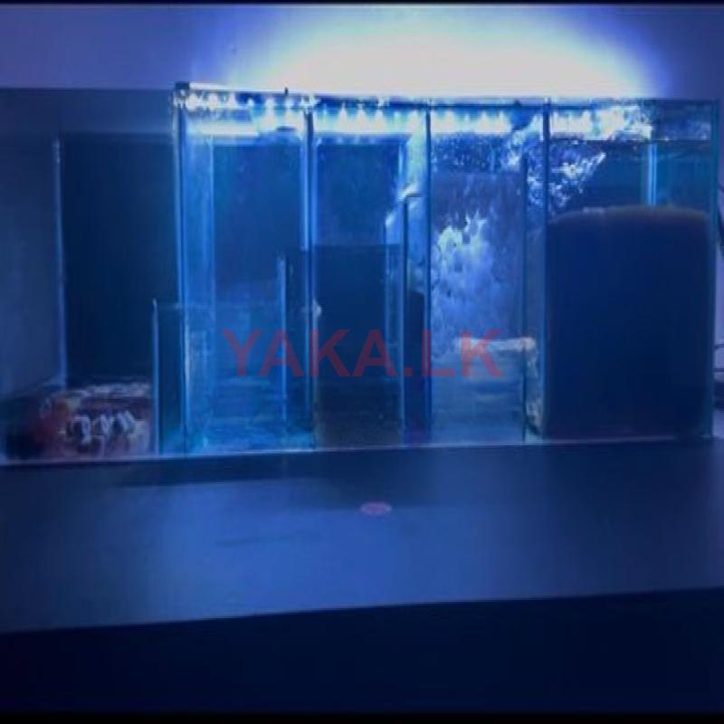 Fish Tank