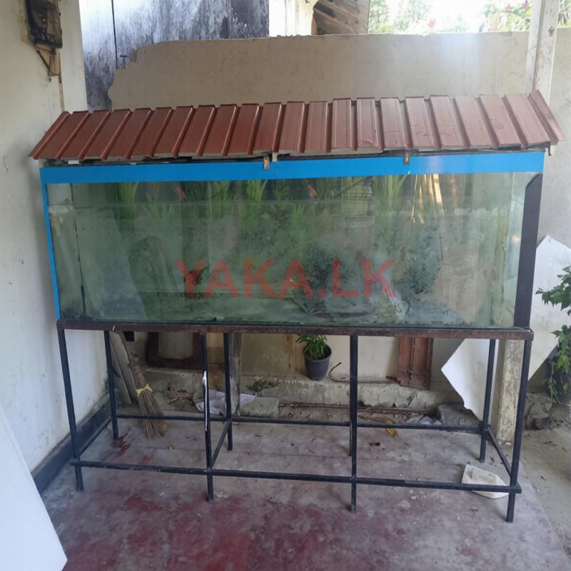 Fish Tank