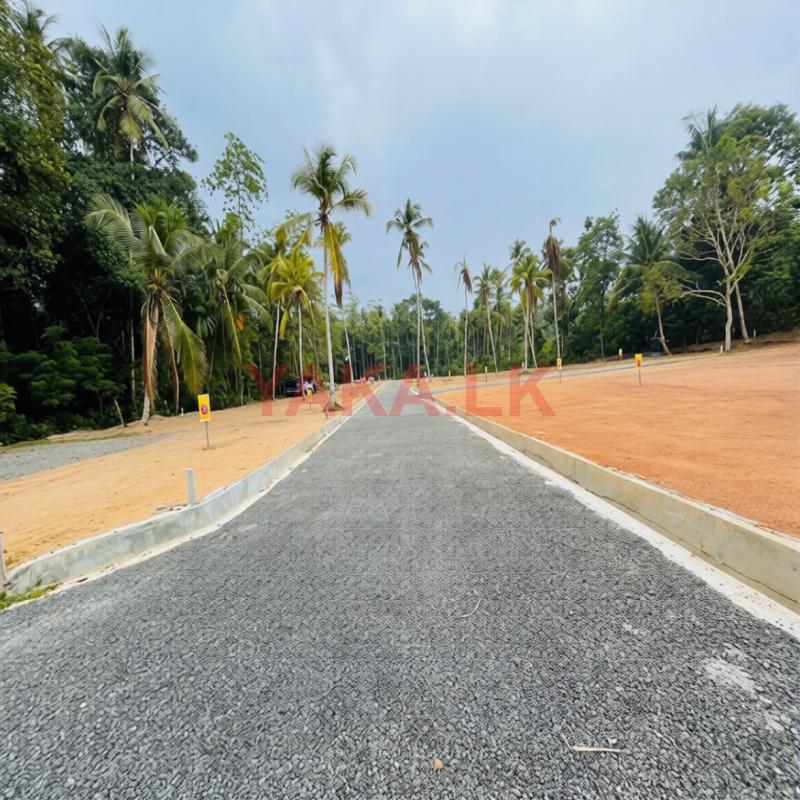 Valuable Residential Land Plots for Sale Near Ja Ela Town