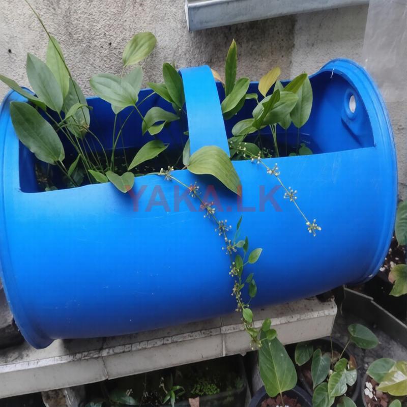 Fish Tank Barrel