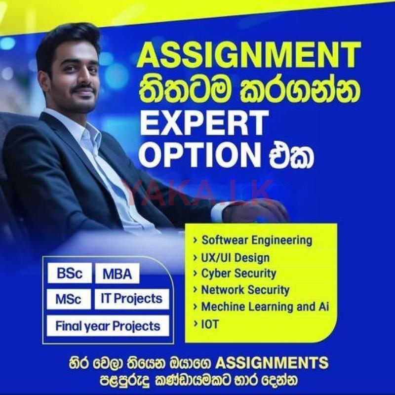 IT Assignment Assistance and Software Development