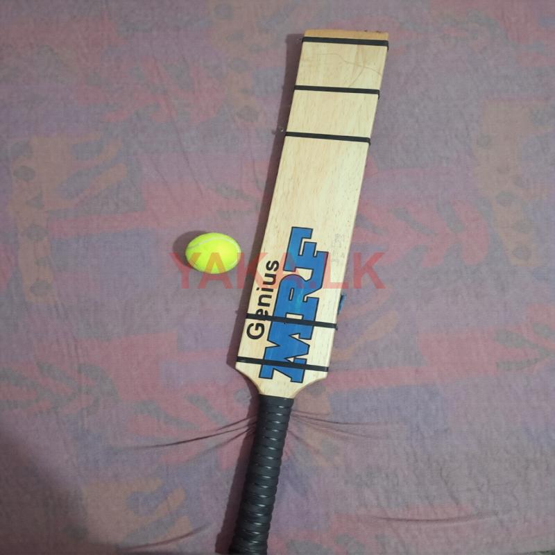 Cricket Bat