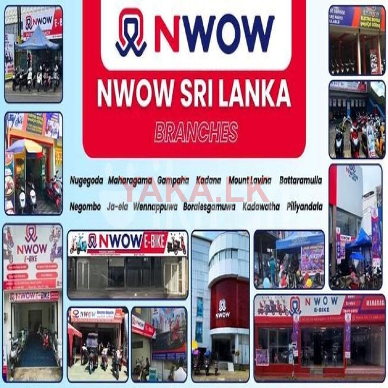 SALES EXECUTIVE & OFFICE ASSISTANT