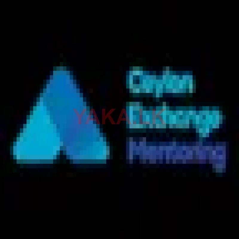 Call Centre Executive