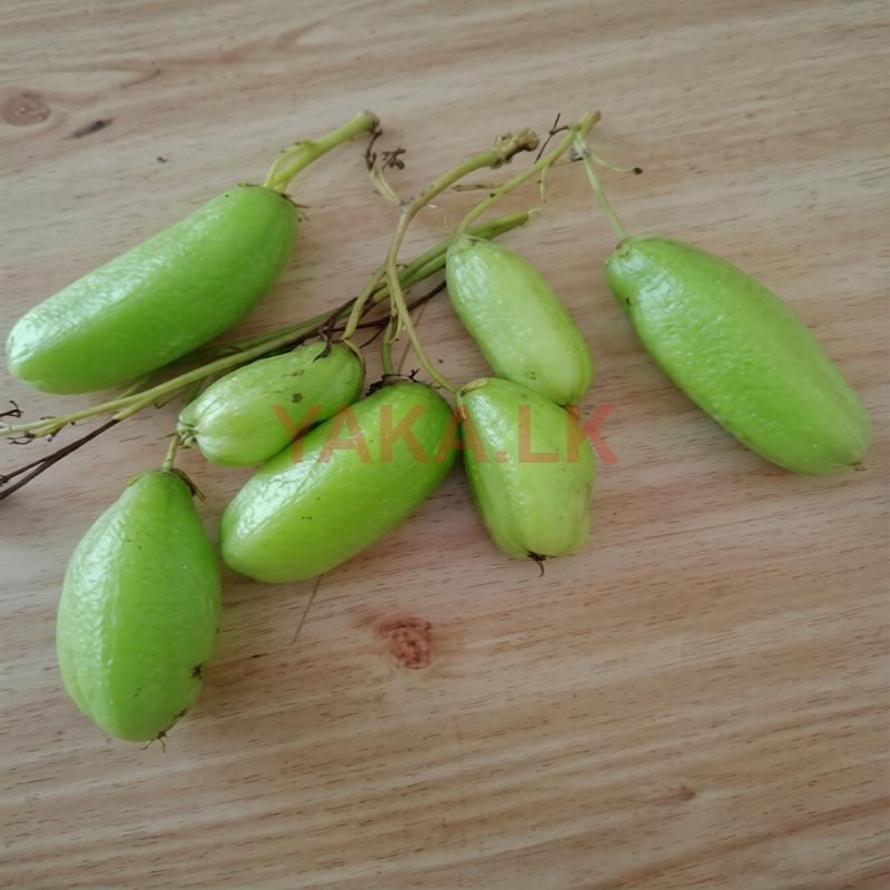 Bilimbi