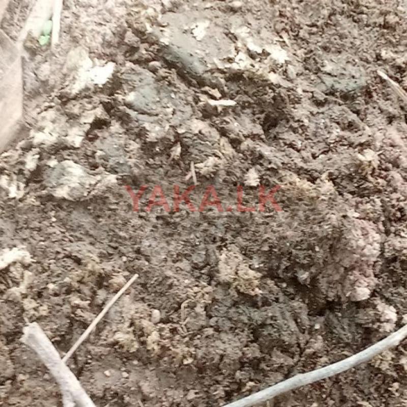 කිකිළි පොහොර