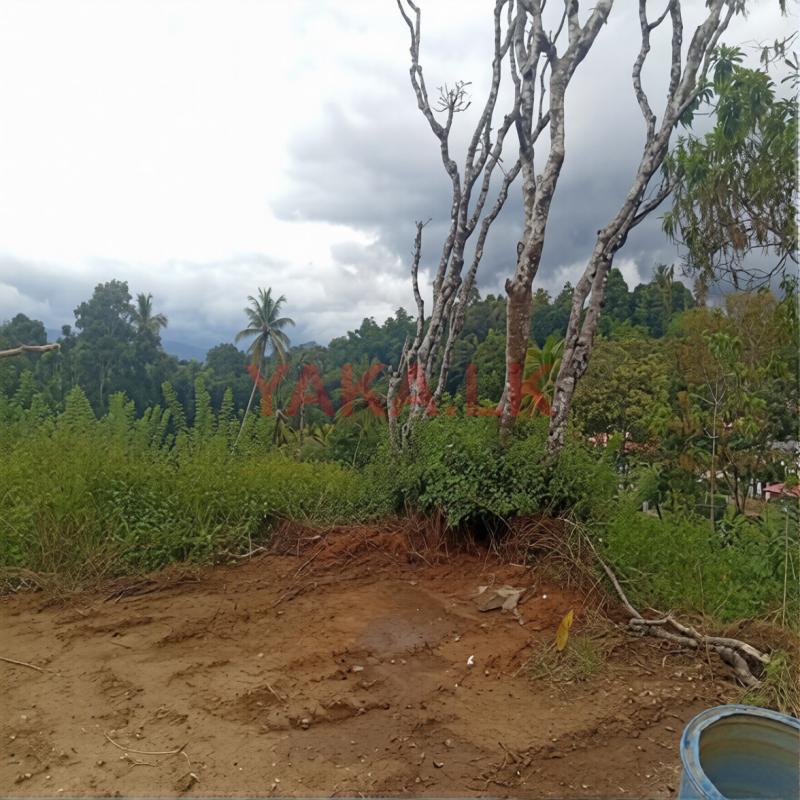 Beautiful Land in Pethiyagoda