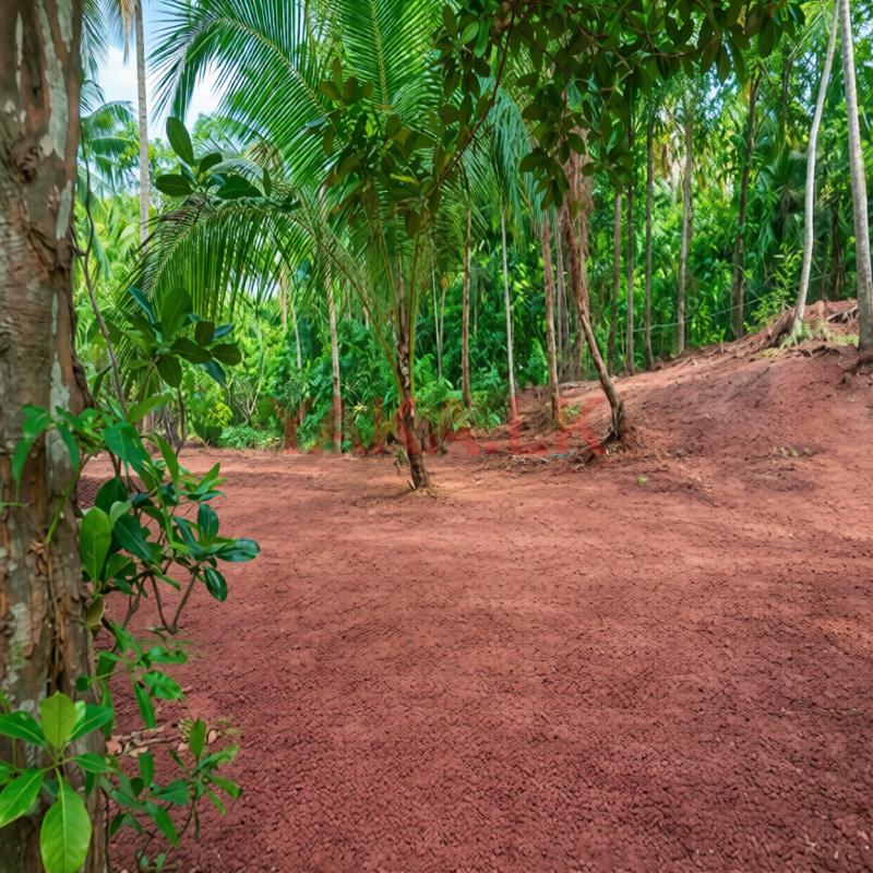 Nittabuwa Wathupitiwala Land Sale Q2