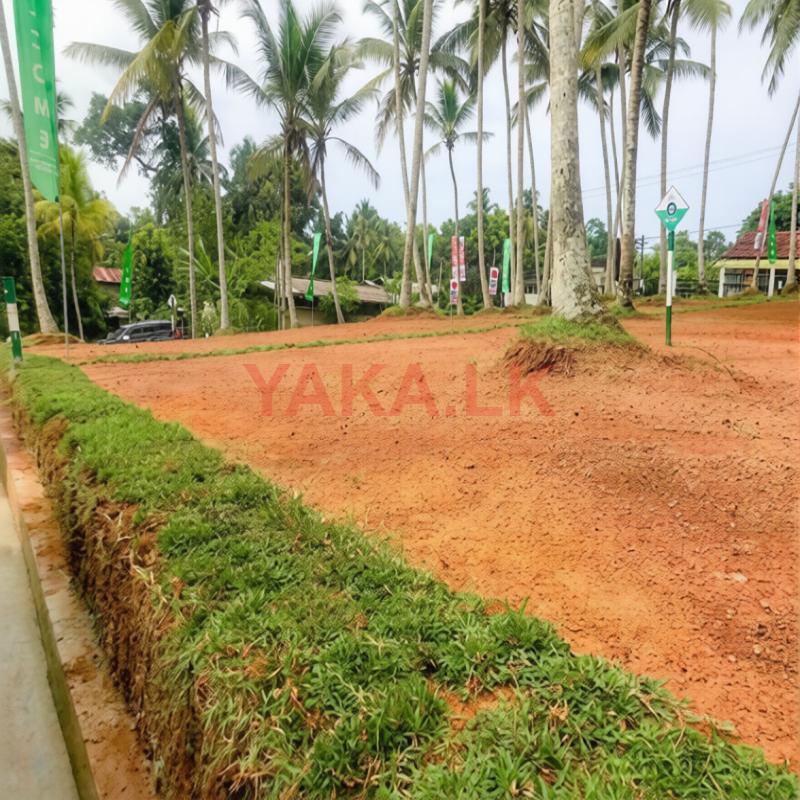Best Valuable Land Plots For Sale In Horana,Kubuka