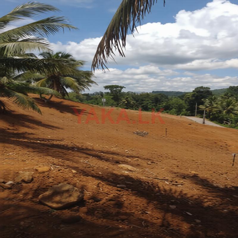 Land for Sale in Waralla, Deniyaya