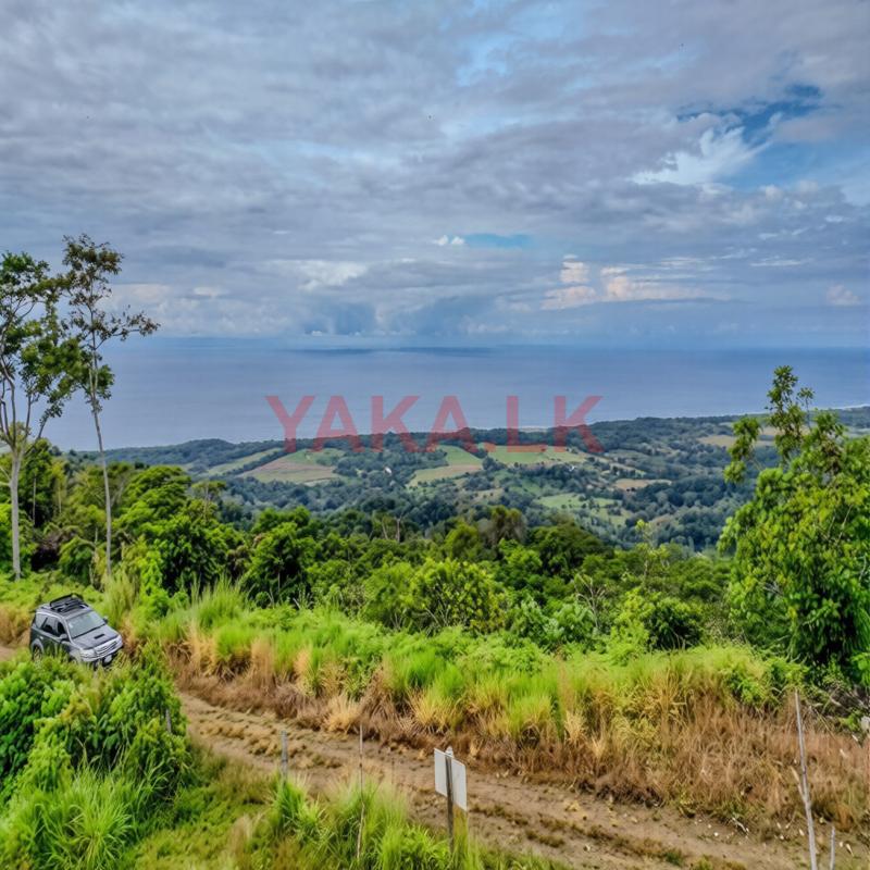 plots of land rekawa