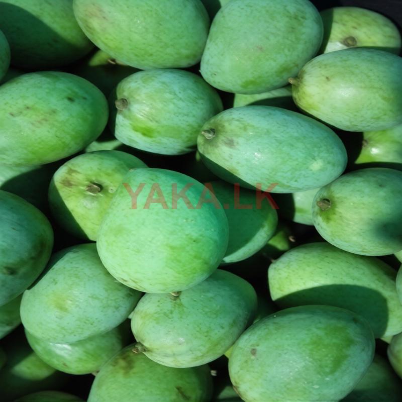 Mangoes
