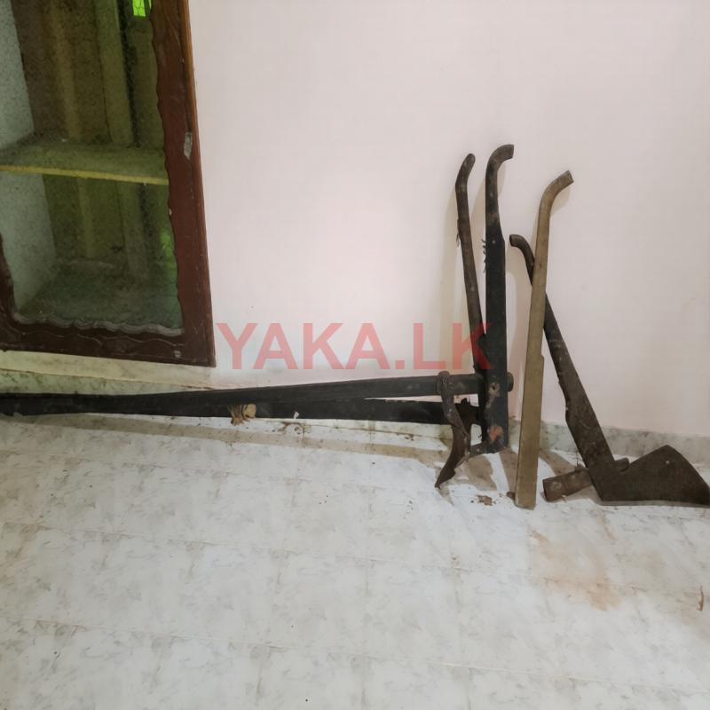 ඉපැරණි වී බිස්ස හා නගුල