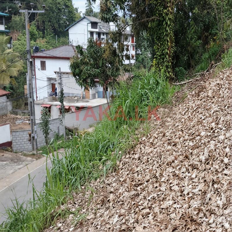 Valuable Commercial Land for Sale in Pilimathalawa.