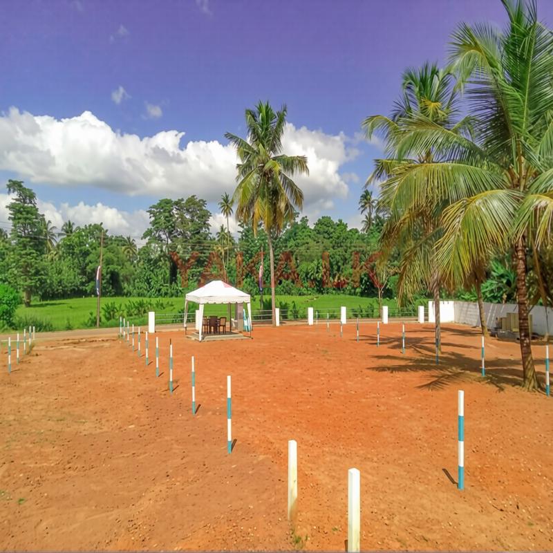 Dabadeniya Well Developed Land for Sale M04