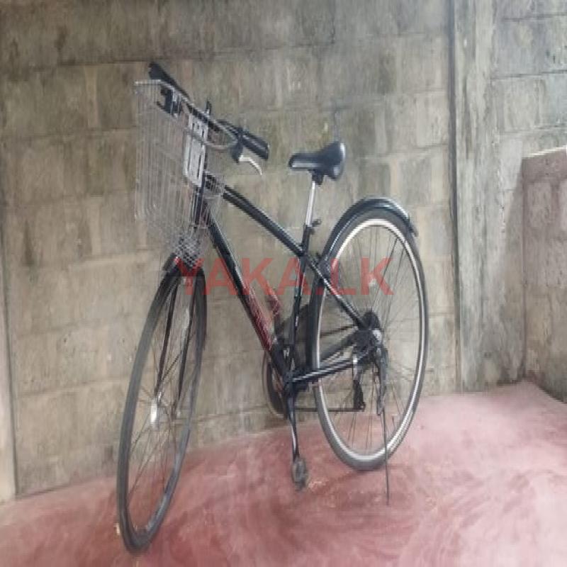 Kids Cycle