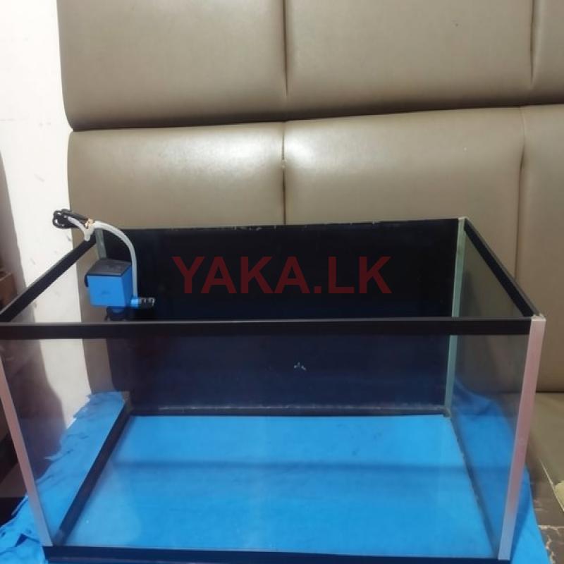 Fish Tank