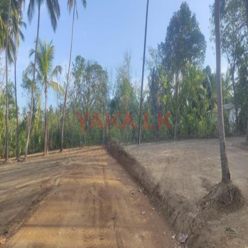තංගල්ලෙන් බිම් කොටස් විකිණීමට