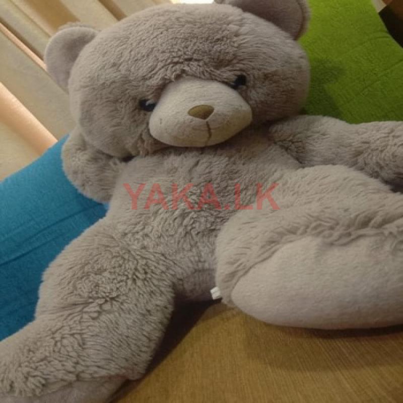 Teddy Bear