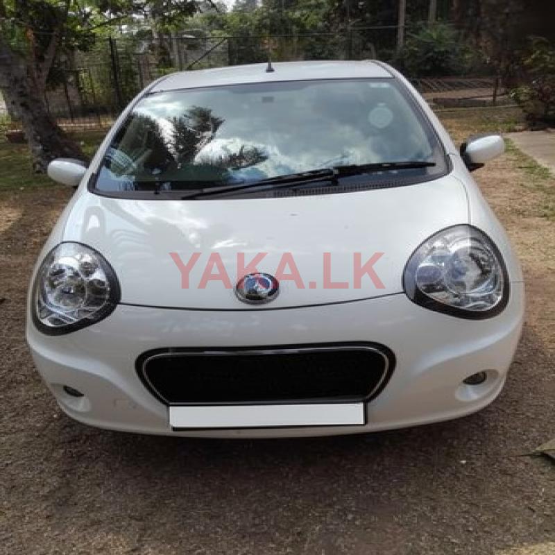 Micro Panda For Rent - Monthly