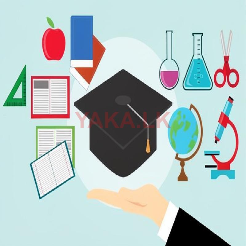 Dissertation Help